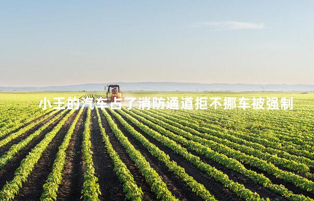 小王的汽车占了消防通道拒不挪车被强制拖走拖车费由谁来付！3.30蚂蚁庄园答案 小王的汽车占了消防通道拒不挪车被强制拖走拖车费由谁来付！3.30